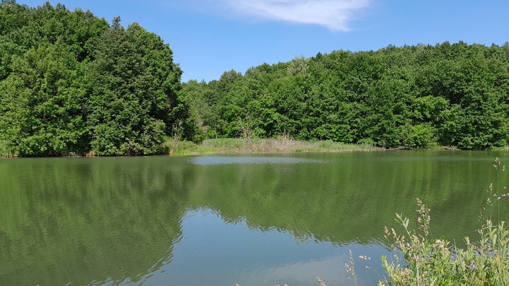 Тела двух мужчин извлекли из нижегородских водоёмов 8 августа