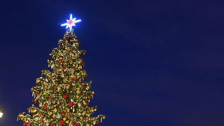 В ряде городов Подмосковья ввели запрет на новогодние фейерверки