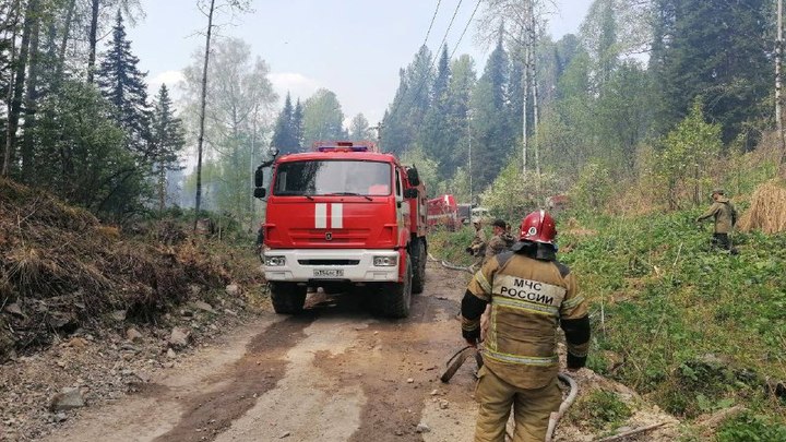 Более 100 человек тушат пожар на Телецком озере на Алтае