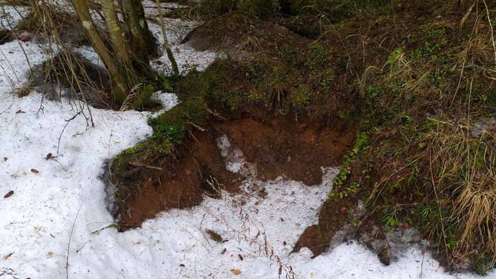Пленный ВСУ рассказал о полях, усыпанных телами его сослуживцев: Наших – полно