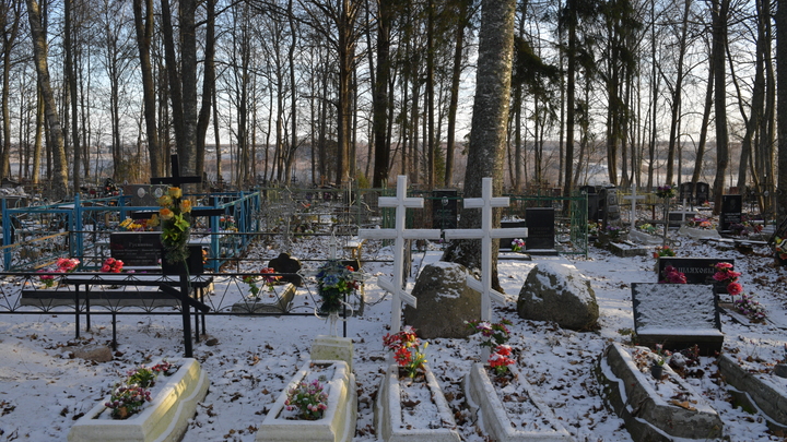 Секретное кладбище под Самарой: Погост на 2000 могил не замечать стало невозможно. Возбуждено уголовное дело
