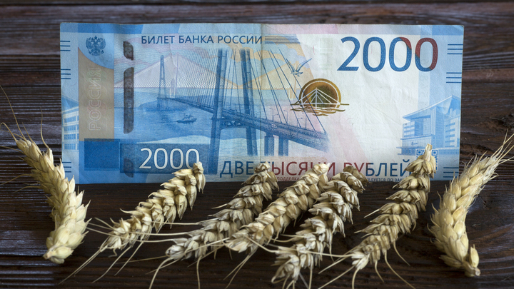 Зерновая сделка России и Китая: США и Австралию оттесняют с рынка