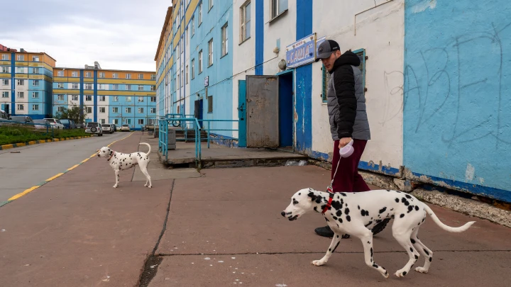 Владельцев домашних животных хотят обязать убирать за ними не только при выгуле