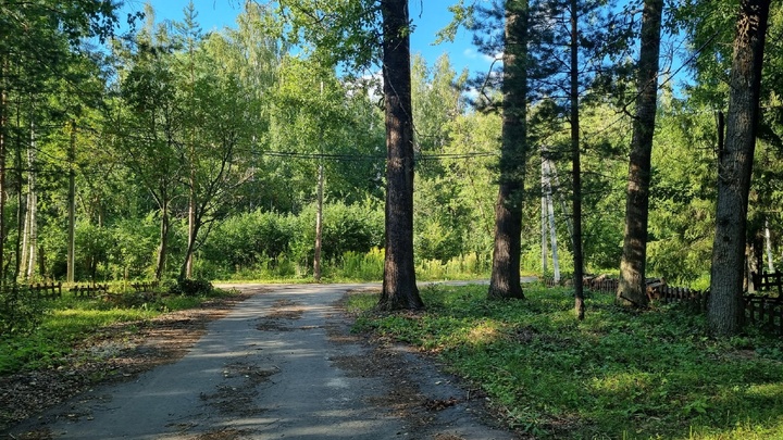 Парк в центре Автозаводского района приведут в благообразный вид к 2026 году
