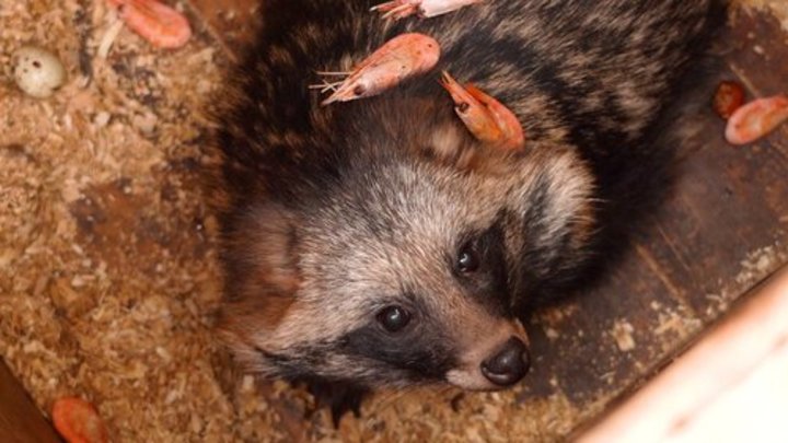 Фото: АГН Москва/Предоставлено пресс-службой зоопарка.