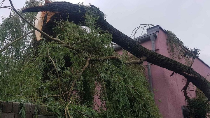 Во время бури в Бобруйске ураган валил деревья и сорвал крышу с дома