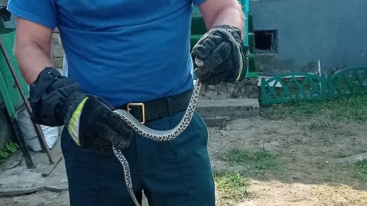 В Минском районе Беларуси семья не смогла попасть домой из-за опасного соседа