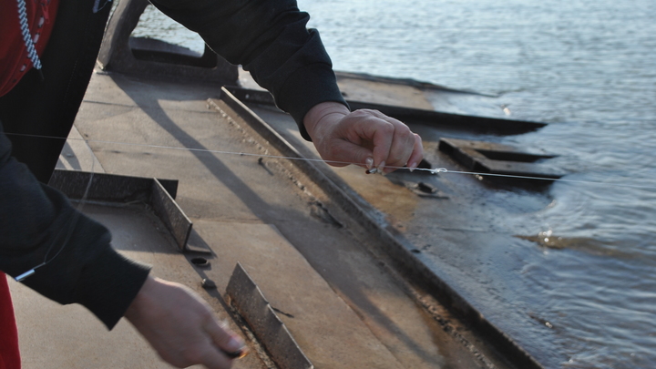 В Ростовской области рыбака задержали с гигантским незаконным уловом