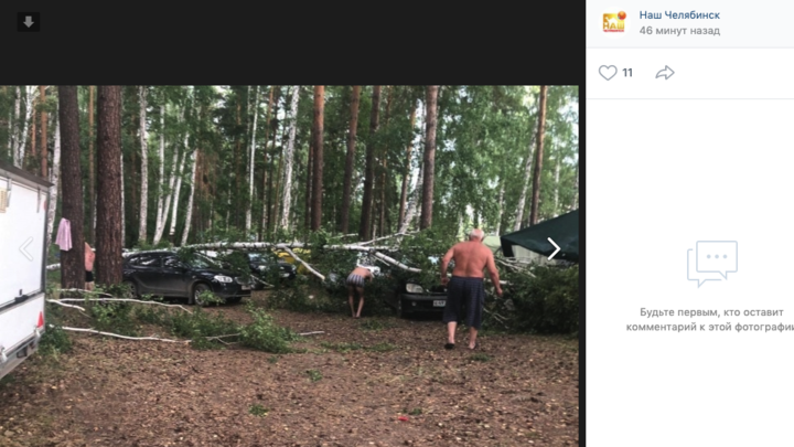 В Челябинской области ураган повалил деревья на припаркованные машины