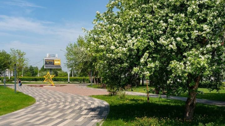 «Густо смешав ароматы»: на странице мэра Кемерова обсудили яблони и туалеты «Густо смешав ароматы»: на странице мэра Кемерова обсудили яблони и туалеты