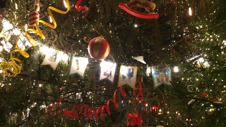 Юрист Спиридонова рассказала, как получить новогодние подарки от государства