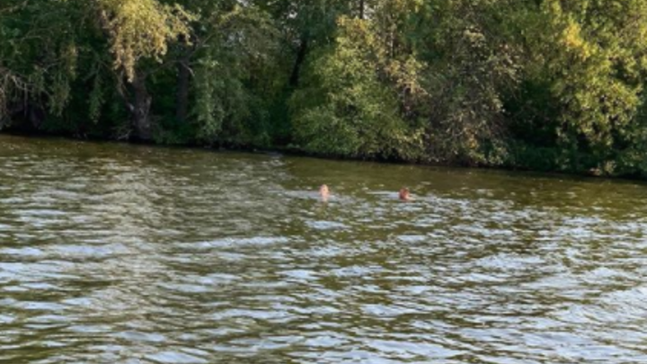 Двое тагильчан пошли ко дну, на спор пытаясь переплыть городской пруд