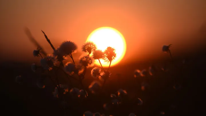 Эксперты предупредили о слабой геомагнитной буре 22 декабря