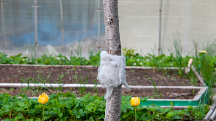 В Воронеже ликвидировали боевые блоки сбитых ATACMS: два дома повреждены
