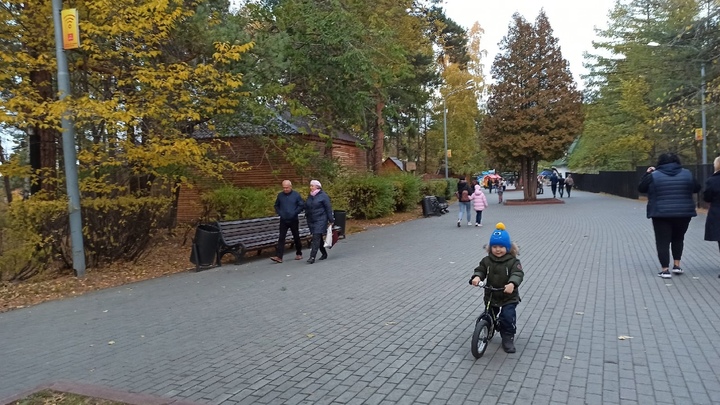 Еще одно бабье лето ожидает Челябинск в начале октября