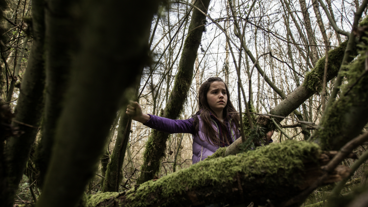 В деле Усольцевых новый поворот: Поиски дали неожиданный результат, напугавший местных жителей В деле Усольцевых новый поворот: Поиски дали неожиданный результат, напугавший местных жителей