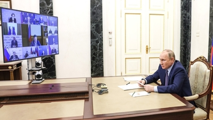 Путин – Макрону и Шольцу: Россия может решить вопрос с нехваткой зерна на мировом рынке