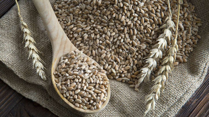 В Молдавии начали опустошать госрезервы с зерном