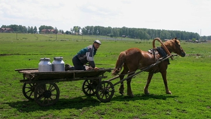 Народные приметы на 29 марта: зачем в Саввин день прислушивались к скрипу колёс