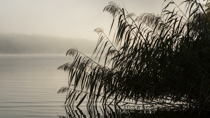 В Сочи спасатели отправились на помощь к туристке, которая травмировала ногу возле озера Кардывач