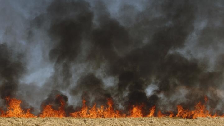 Дым застилал глаза: Сотрудник ОМОНа спас от пожара целое село