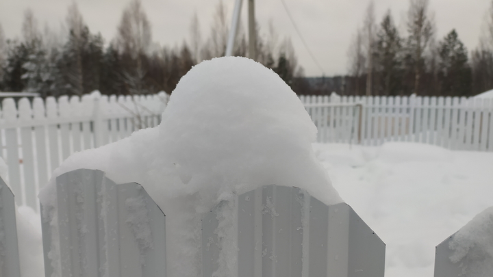Троих журналистов задержали в пограничной зоне под Ростовом