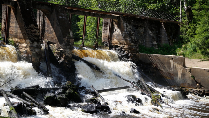 В Тихвине военный фельдшер вытащил с того света 11-летнего мальчика