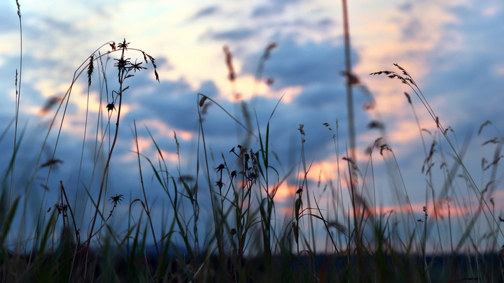 Украинские боевики выдали свой самый большой страх в спецоперации