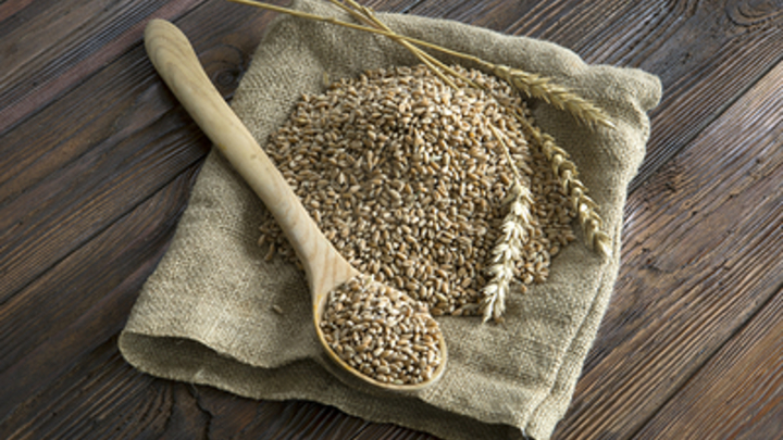 А хлебушек врозь: Дружба Варшавы и Киева не выдержала проверки зерном