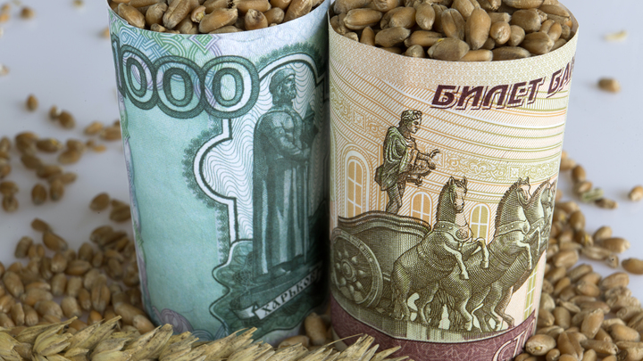 ЕС готовит уступку России ради зерновой сделки. Москва ответила предельно чётко