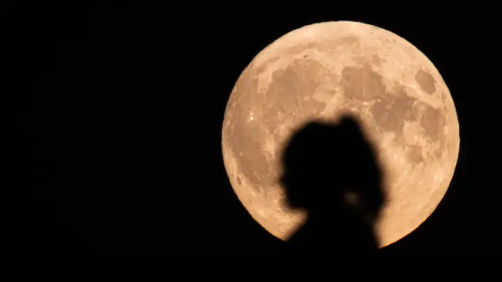 Мама с папой дали всё в России. А она бросила - уехала в США. И оттуда поливает родину грязью