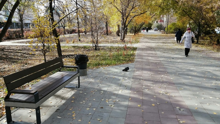 Вместо коммерческой застройки в центре Челябинска появился новый сквер