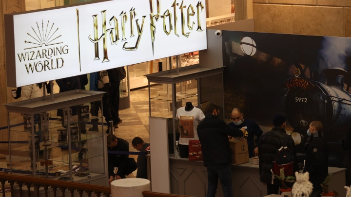 Гарри Поттер и Игра престолов под угрозой: в России могут запретить популярные сериалы и книги за пропаганду чайлдфри*