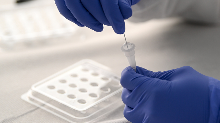 Бразильское открытие оценил русский вирусолог: Пандемию не победит