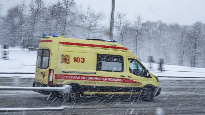 Нижегородский омбудсмен высказалась о гибели арзамасской школьницы
