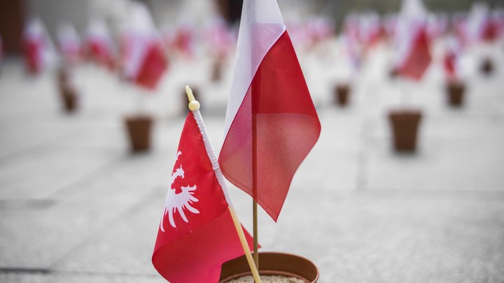 Депутат Морозов: Поляки совершили роковую ошибку