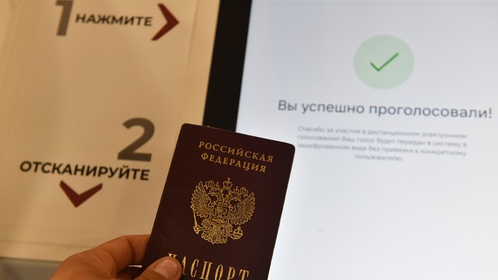 В Новосибирской области протестируют систему дистанционного голосования