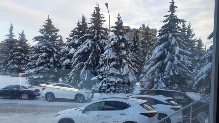 Менее 12% нижегородских семей могут позволить себе недорогую машину в кредит