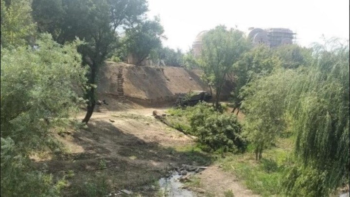 Куда жаловаться?: Ростовчане раскритиковали вырубку зелени в парке в балке Рябинина