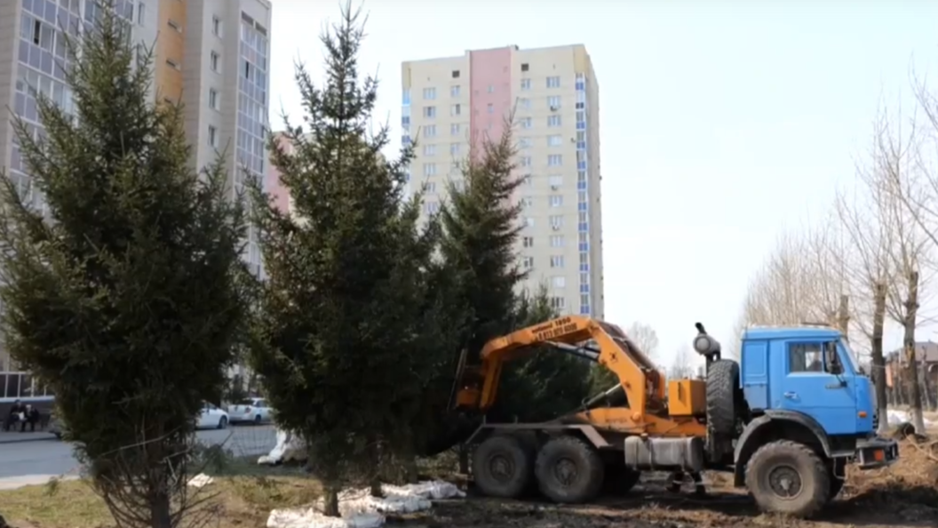 клиника трансплантологии. хирургическое отделение операция.