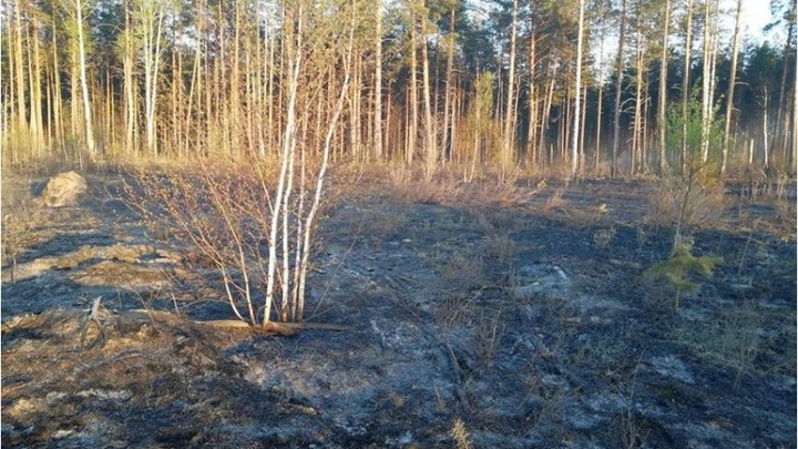 В Южском районе Ивановской области ликвидировали два лесных пожара
