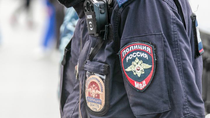 В Москве задержали сына миллиардера Бажаева после драки с полицейским