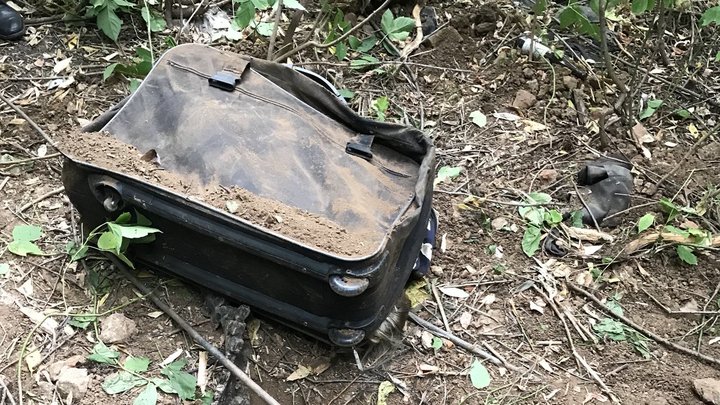 В Запорожской области активизировалась деятельность диверсантов – Рогов