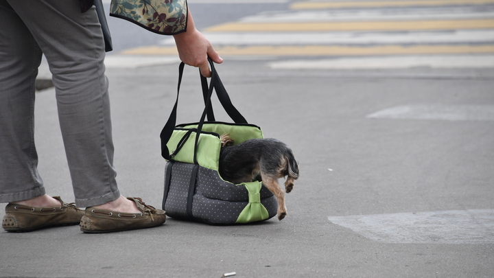 В Краснодаре на автобусной остановке нашли подозрительную сумку