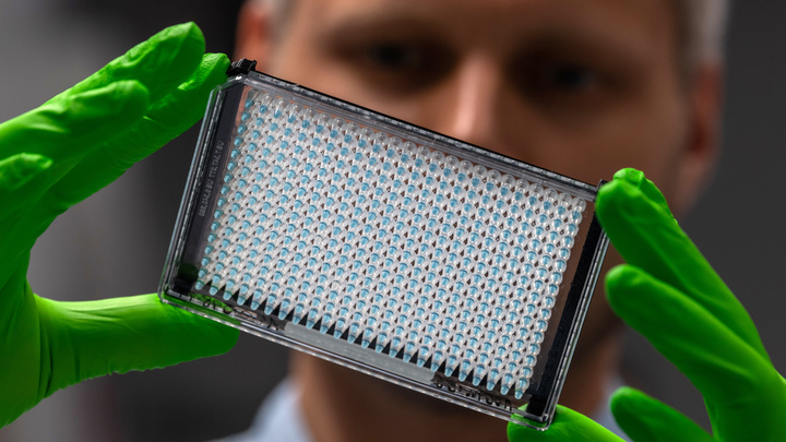 Человечеству грозит новая эпидемия? В Бразилии обнаружили неизвестный науке вирус