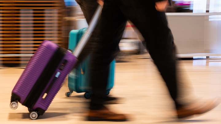 В России остались самые главные паразиты: Бородай о предателях в кабинетах власти