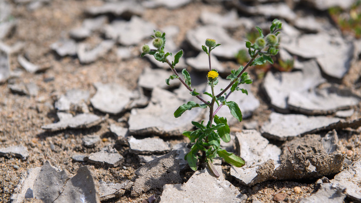Прямо сейчас: Журналист показал катастрофу Европы в восьми фото