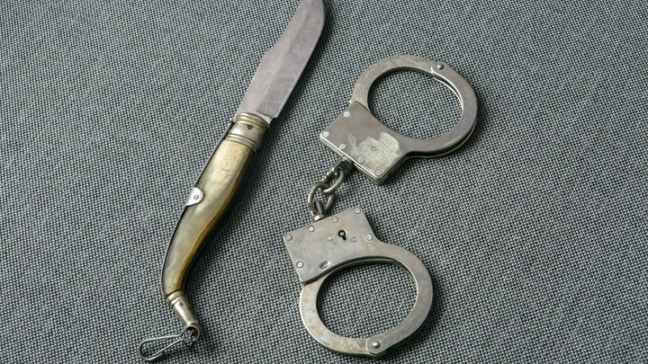 Кистевой эспандер вместо ножа: избившие мужчину с ребенком отрицают вину в покушении на убийство