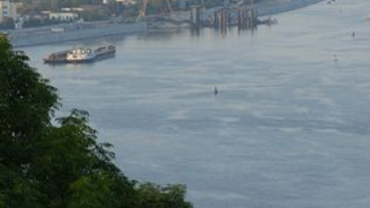 Увидели в последний момент: Беглецы из ВСУ переплыли на сторону России