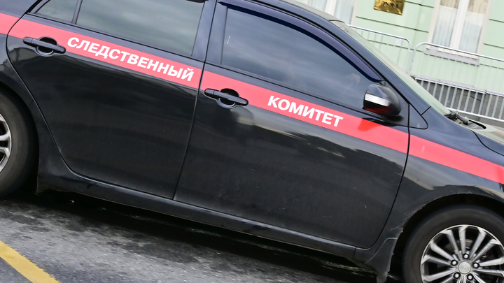 Дело о банде мигрантов в Петербурге получило продолжение: У соучастников идут обыски